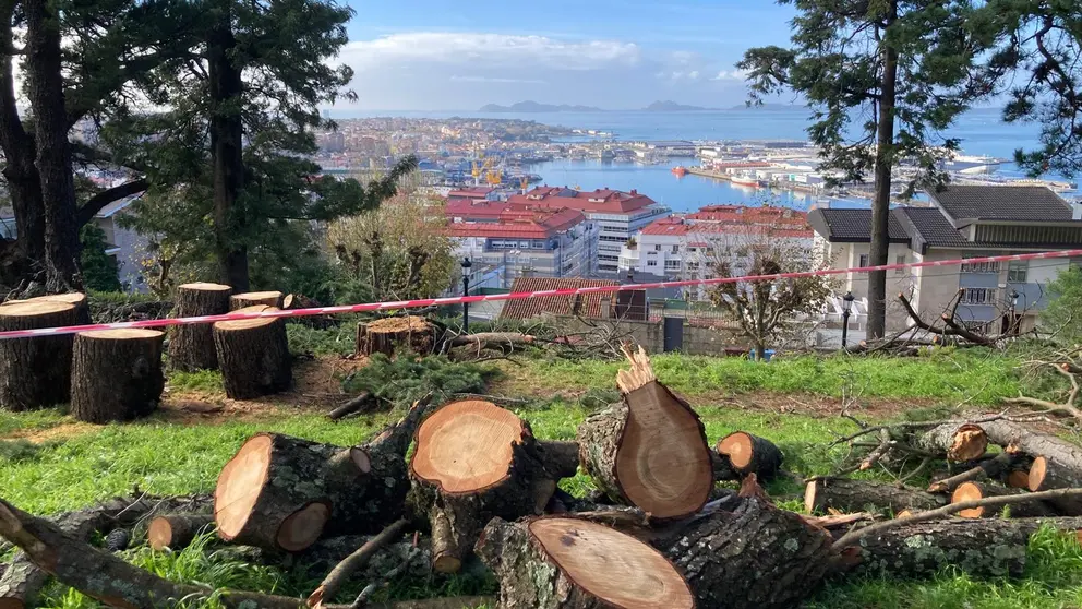 &Uacute;ltimo arboricidio de Caballero no Castro