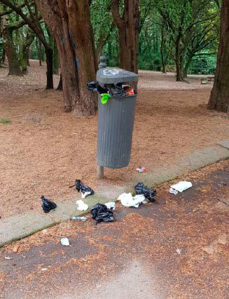 Parque da  Bouza