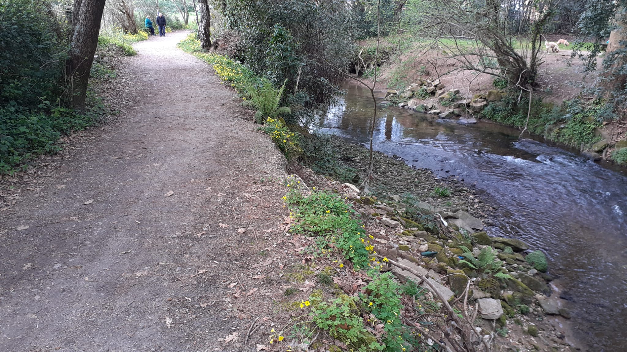 Paseo Lagares-Sardoma 02